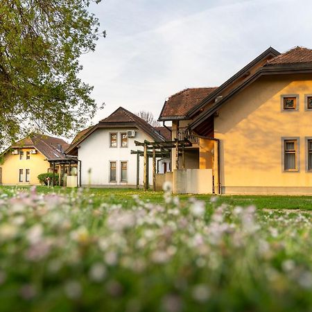 Terme Banovci - Hotelsko Naselje Zeleni Gaj Exterior foto