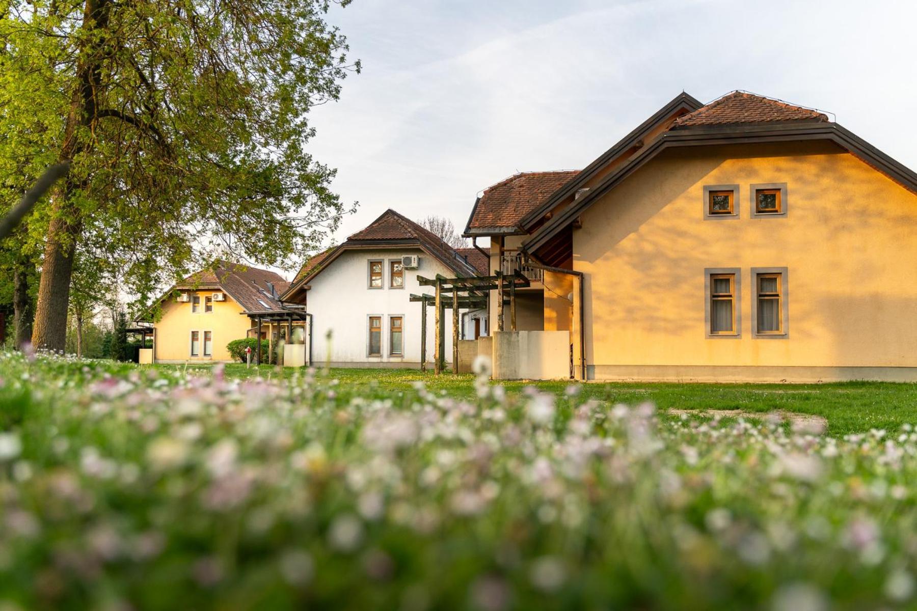 Terme Banovci - Hotelsko Naselje Zeleni Gaj Exterior foto